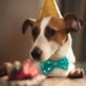 Meet your Posher, C a